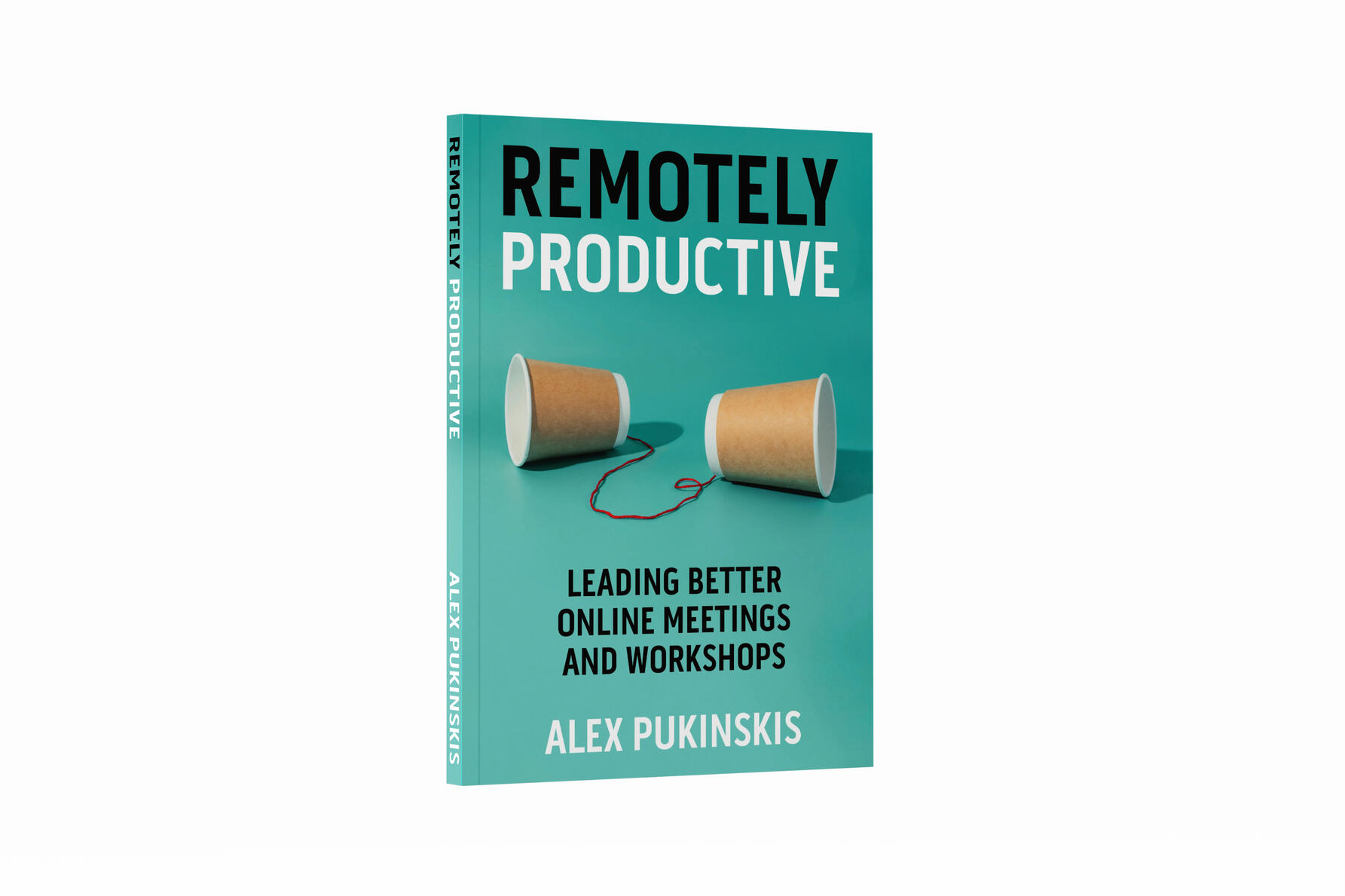 The cover of the book 'Remotely Productive'